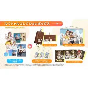 Atelier Ryza 3: Alchemist of the End & the Secret Key [Special Collection Box] (Limited Edition) for Nintendo Switch