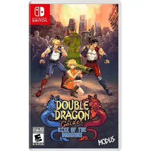 Double Dragon Gaiden: Rise of the Dragons 