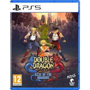 Double Dragon Gaiden: Rise of the Dragons 