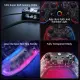 BIGBIGWON Rainbow S Wired Controller For PC / NSW