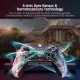 BIGBIGWON Rainbow S Wired Controller For PC / NSW