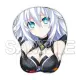 Senran Ninja Ninja War Neptunia -Girls' Hibiki-Dengeki Special Pack Nepunepu Shinobi Moe Box Version