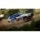 DiRT Rally 2.0 (English & Chinese Subs)