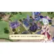 Nelke to Densetsu no Renkinjutsushi Tachi ~ Aratana Daichi no Atelier ~