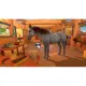 Equestrian Training