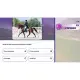 Equestrian Training