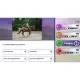 Equestrian Training