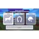 Equestrian Training