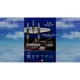 Psikyo Shooting Library Vol. 1 (English)