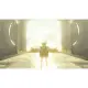 The Legend of Zelda: Tears of the Kingdom (NA)