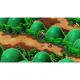 Super Mario RPG (Multi-Language) 