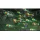 R-Type Tactics I & II Cosmos [Deluxe Edition] 