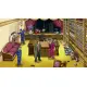 Ace Attorney Investigations Collection