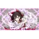Touhou Genso Wanderer -FORESIGHT