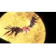 Sonic x Shadow Generations
