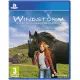 Windstorm: Start of a Great Friendship