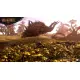 Wild Hearts S Game Key Cart