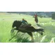 The Legend of Zelda: Breath of the Wild Game Cart (cover - asian)
