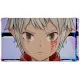 Digimon Story: Time Stranger 