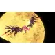 Sonic x Shadow Generations