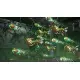 R-Type Tactics I amp II Cosmos [Deluxe Edition]