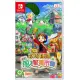 Story of Seasons: Grand Bazaar (Cover - Asian)