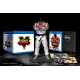Street Fighter V Collector's Edition