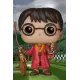 Funko Pop! Harry Potter - Quidditch Harry