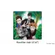 Psycho-Pass: Mandatory Happiness [Limited Edition]