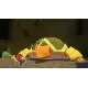 Paper Mario: The Origami King for Nintendo Switch