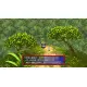 Fushigi no Dungeon Fuurai no Shiren 5 Plus: Fortun Tower to Unmei no Dice for PlayStation Vita