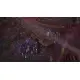 Torment: Tides of Numenera for PlayStation 4