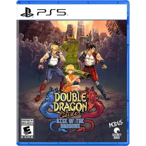 Double Dragon Gaiden: Rise of the Dragon...